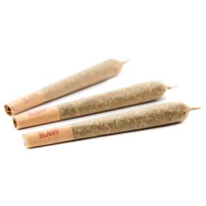 Pack of 3 Designer Prerolls